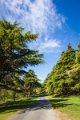 Tollymore Forest Park Newcastle Co Down (2)